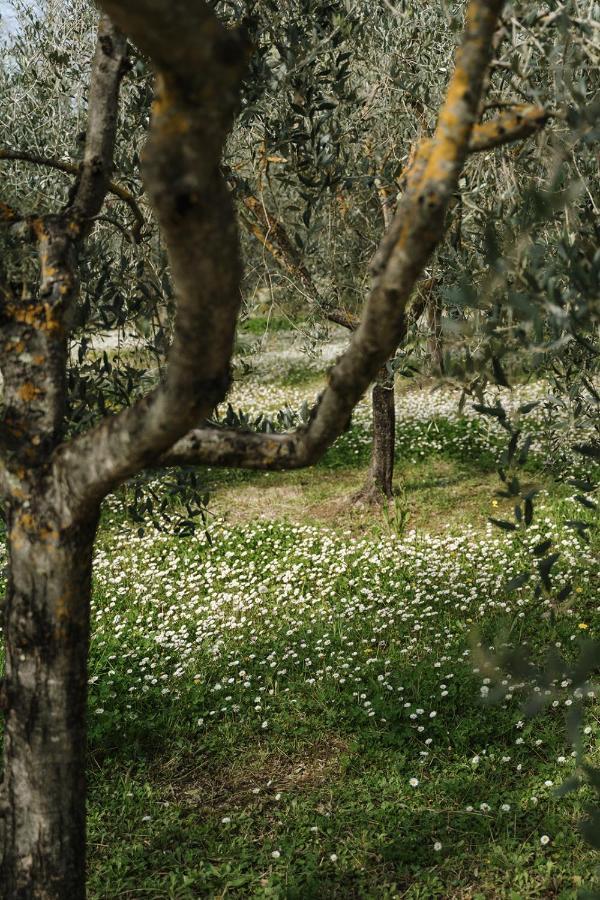 Villa Nottola Montepulciano Stazione Extérieur photo